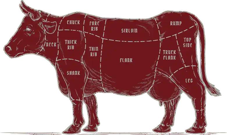 Illustration of a cow butcher’s chart showing beef cuts labeled: neck, chuck, fore rib, thick rib, thin rib, shank, sirloin, flank, rump, top side, tri‑tip and leg